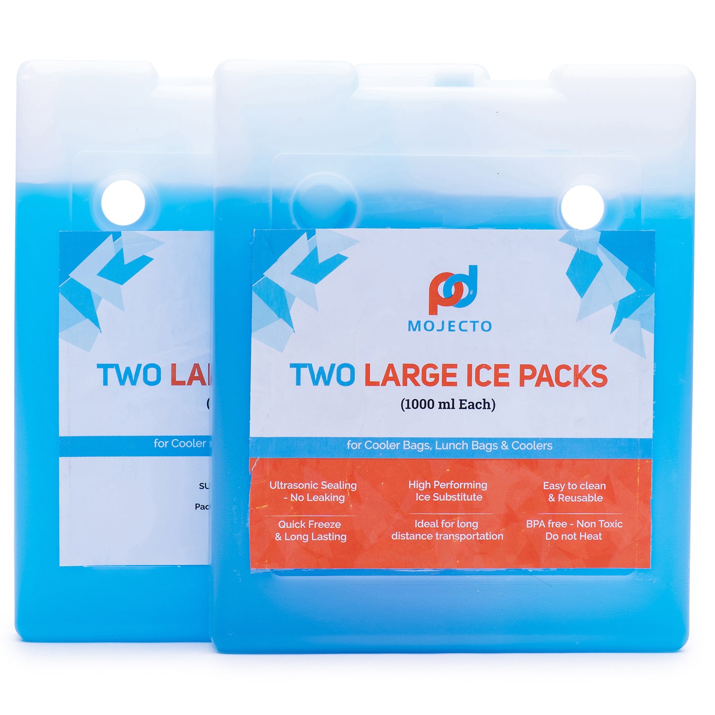 Large Insulated Cooler Bag with Hard Bottom (16x13x10 in) With Two 1000 ML Ice Packs